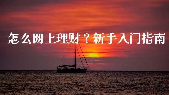 怎么网上理财？新手入门指南_https://cj001.lansai.wang_保险问答_第1张