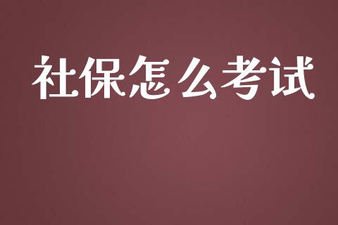 社保怎么考试_https://cj001.lansai.wang_保险问答_第1张