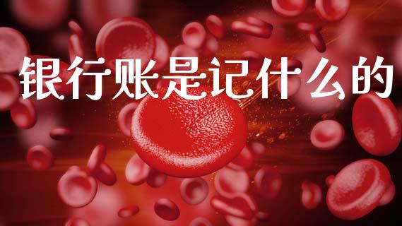 银行账是记什么的_https://cj001.lansai.wang_会计问答_第1张