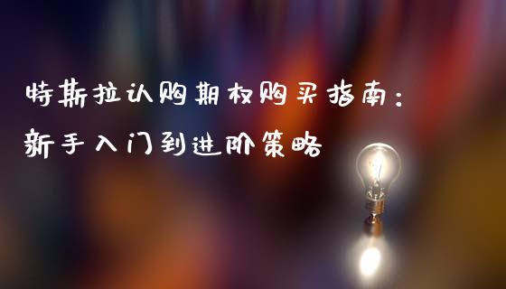 特斯拉认购期权购买指南：新手入门到进阶策略_https://cj001.lansai.wang_期货问答_第1张