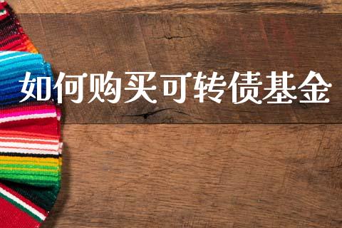 如何购买可转债基金_https://cj001.lansai.wang_金融问答_第1张