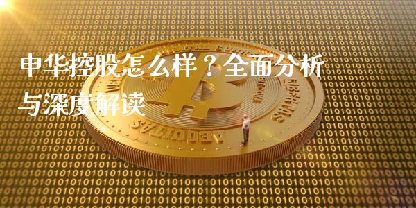 申华控股怎么样？全面分析与深度解读_https://cj001.lansai.wang_保险问答_第1张