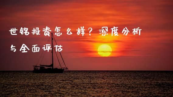 世铭投资怎么样？深度分析与全面评估_https://cj001.lansai.wang_理财问答_第1张