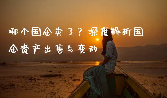 哪个国企卖了？深度解析国企资产出售与变动_https://cj001.lansai.wang_股市问答_第1张