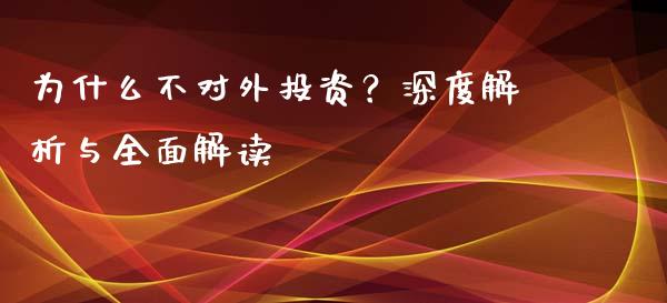 为什么不对外投资？深度解析与全面解读_https://cj001.lansai.wang_财经百问_第1张