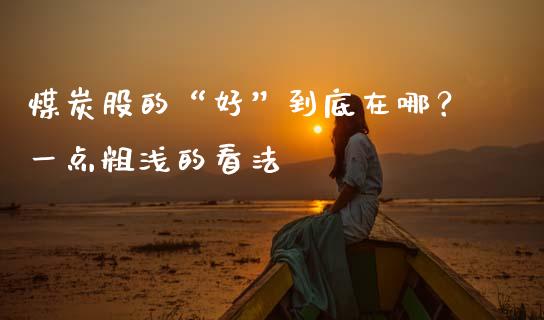 煤炭股的“好”到底在哪？一点粗浅的看法_https://cj001.lansai.wang_金融问答_第1张