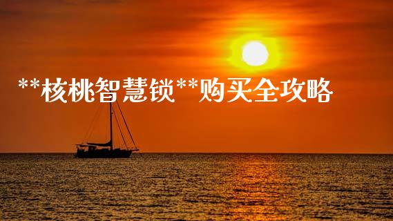 **核桃智慧锁**购买全攻略_https://cj001.lansai.wang_财经问答_第1张