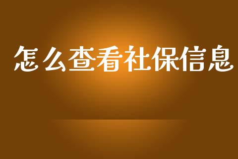 怎么查看社保信息_https://cj001.lansai.wang_保险问答_第1张