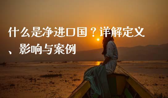 什么是净进口国？详解定义、影响与案例_https://cj001.lansai.wang_会计问答_第1张