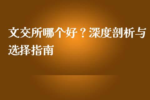 文交所哪个好？深度剖析与选择指南_https://cj001.lansai.wang_会计问答_第1张