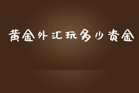 黄金外汇玩多少资金_https://cj001.lansai.wang_期货问答_第1张