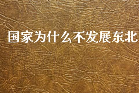 国家为什么不发展东北_https://cj001.lansai.wang_财经问答_第1张