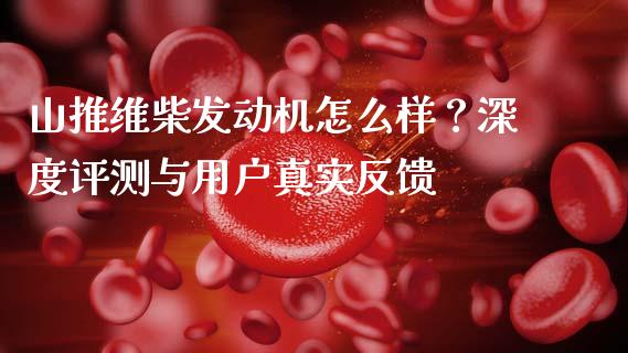 山推维柴发动机怎么样？深度评测与用户真实反馈_https://cj001.lansai.wang_金融问答_第1张