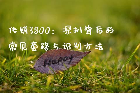 传销3800：深扒背后的常见套路与识别方法_https://cj001.lansai.wang_股市问答_第1张