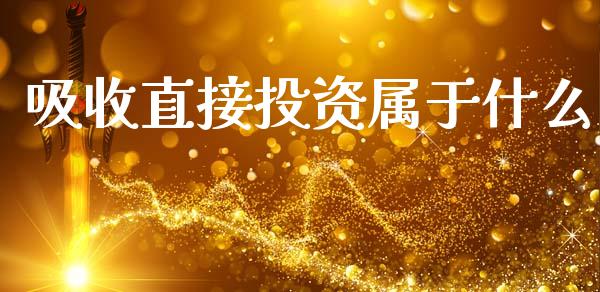 吸收直接投资属于什么_https://cj001.lansai.wang_会计问答_第1张