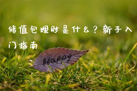 储值包理财是什么？新手入门指南_https://cj001.lansai.wang_财经百问_第1张