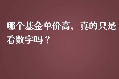 哪个基金单价高，真的只是看数字吗？_https://cj001.lansai.wang_财经百问_第1张