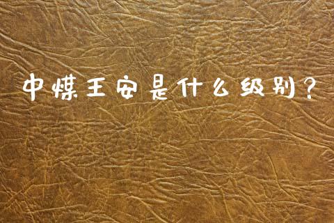 中煤王安是什么级别？_https://cj001.lansai.wang_保险问答_第1张