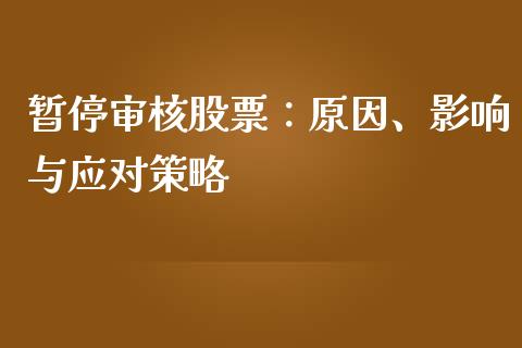 暂停审核股票：原因、影响与应对策略_https://cj001.lansai.wang_理财问答_第1张