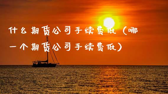 什么期货公司手续费低(哪一个期货公司手续费低)_会计问答_第1张_财经百问网 什么期货公司手续费低(哪一个期货公司手续费低)_https://cj001.lansai.wang_会计问答_第1张