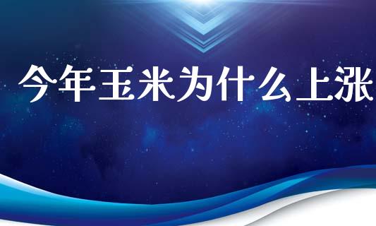 今年玉米为什么上涨_https://cj001.lansai.wang_期货问答_第1张