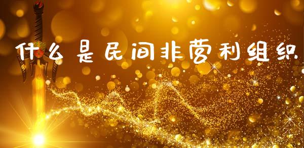 什么是民间非营利组织_https://cj001.lansai.wang_会计问答_第1张