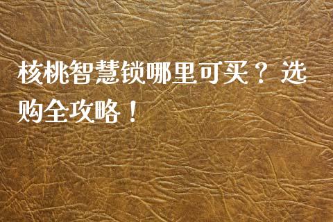 核桃智慧锁哪里可买？ 选购全攻略！_https://cj001.lansai.wang_保险问答_第1张