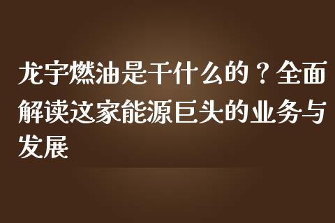 龙宇燃油是干什么的？全面解读这家能源巨头的业务与发展_https://cj001.lansai.wang_期货问答_第1张