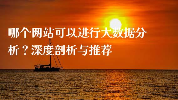 哪个网站可以进行大数据分析？深度剖析与推荐_https://cj001.lansai.wang_期货问答_第1张