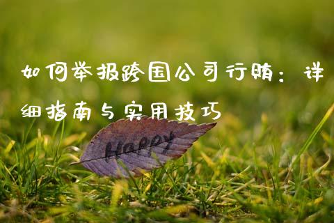如何举报跨国公司行贿:详细指南与实用技巧_股市问答_第1张_财经百问网 如何举报跨国公司行贿:详细指南与实用技巧_https://cj001.lansai.wang_股市问答_第1张