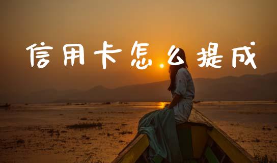 信用卡怎么提成_https://cj001.lansai.wang_金融问答_第1张