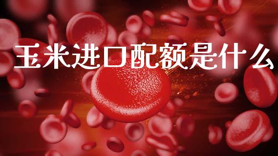 玉米进口配额是什么_https://cj001.lansai.wang_期货问答_第1张