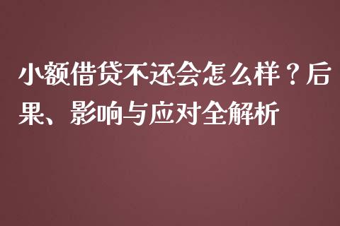 小额借贷不还会怎么样？后果、影响与应对全解析_https://cj001.lansai.wang_保险问答_第1张