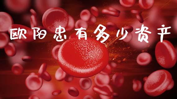 欧阳忠有多少资产_https://cj001.lansai.wang_理财问答_第1张