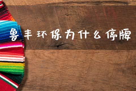 鲁丰环保为什么停牌_https://cj001.lansai.wang_会计问答_第1张