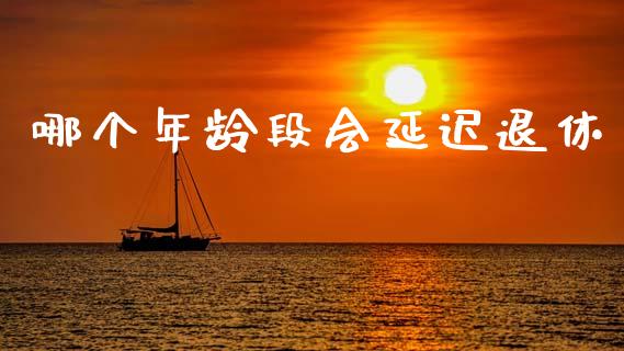 哪个年龄段会延迟退休_https://cj001.lansai.wang_财经问答_第1张