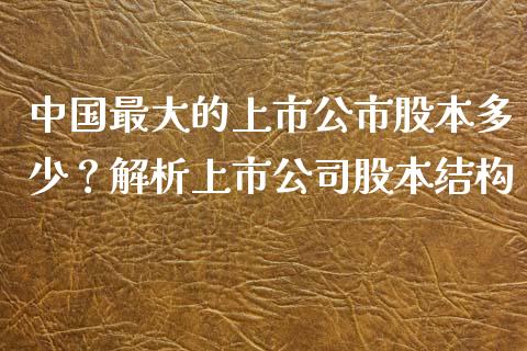 中国最大的上市公市股本多少？解析上市公司股本结构_https://cj001.lansai.wang_财经百问_第1张