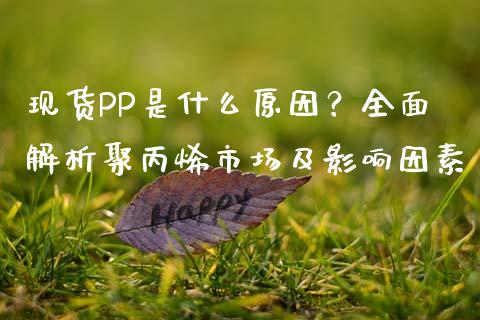 现货PP是什么原因？全面解析聚丙烯市场及影响因素_https://cj001.lansai.wang_期货问答_第1张