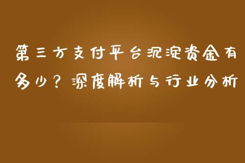 第三方支付平台沉淀资金有多少？深度解析与行业分析_https://cj001.lansai.wang_财经问答_第1张