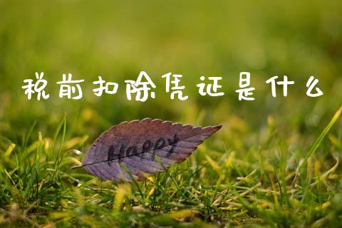 税前扣除凭证是什么_https://cj001.lansai.wang_会计问答_第1张