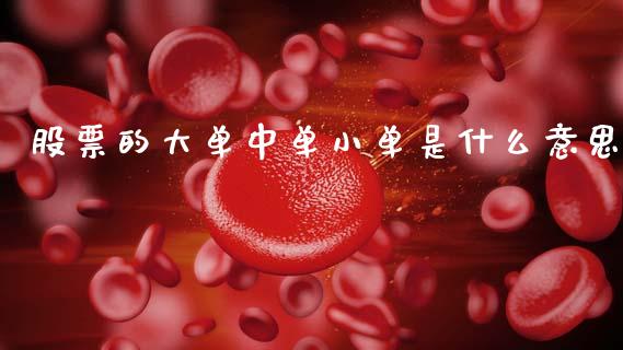 股票的大单中单小单是什么意思_https://cj001.lansai.wang_财经百问_第1张