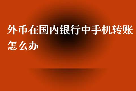 外币在国内银行中手机转账怎么办_https://cj001.lansai.wang_金融问答_第1张