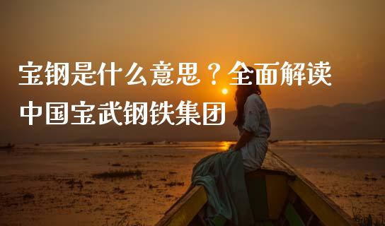宝钢是什么意思？全面解读中国宝武钢铁集团_https://cj001.lansai.wang_财经问答_第1张