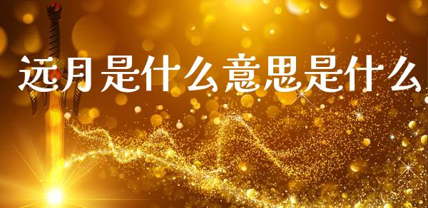 远月是什么意思是什么_https://cj001.lansai.wang_理财问答_第1张