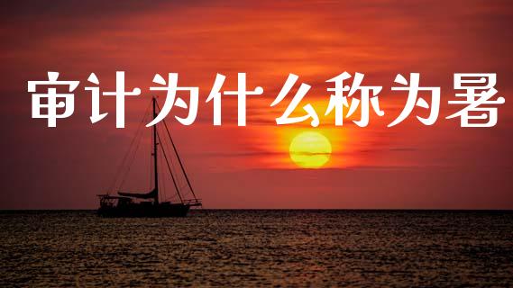 审计为什么称为暑_https://cj001.lansai.wang_会计问答_第1张