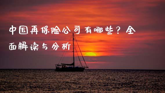 中国再保险公司有哪些？全面解读与分析_https://cj001.lansai.wang_股市问答_第1张