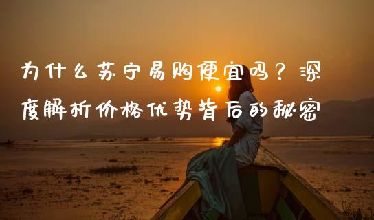 为什么苏宁易购便宜吗？深度解析价格优势背后的秘密_https://cj001.lansai.wang_保险问答_第1张