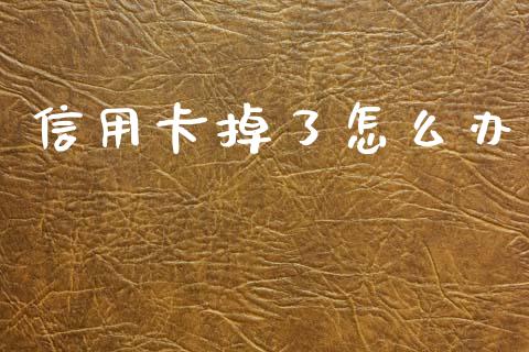 信用卡掉了怎么办_https://cj001.lansai.wang_财经百问_第1张