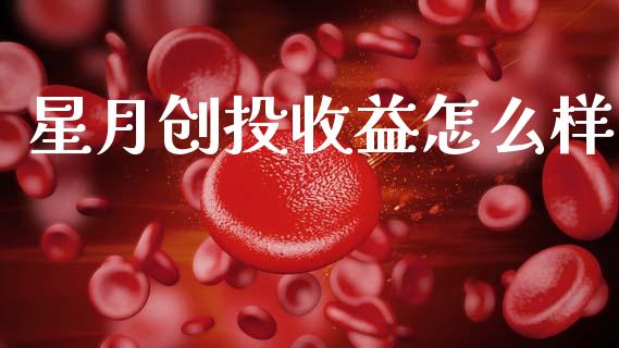 星月创投收益怎么样_https://cj001.lansai.wang_股市问答_第1张