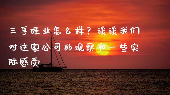三孚硅业怎么样？谈谈我们对这家公司的观察和一些实际感受_https://cj001.lansai.wang_财经百问_第1张